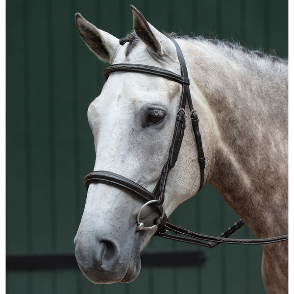 Collegiate Essential Fancy Stitched English Bridle